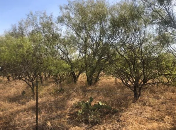 $115,000 | 266 St Gustine Tx 76455, Gustine, TX 76455