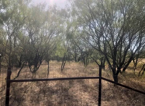 $115,000 | 266 St Gustine Tx 76455, Gustine, TX 76455