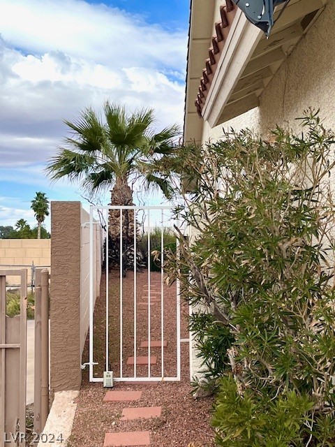 800 Rancho Coast Way Henderson, NV 89002 - Photo 16 of 19 Side gate to backyard