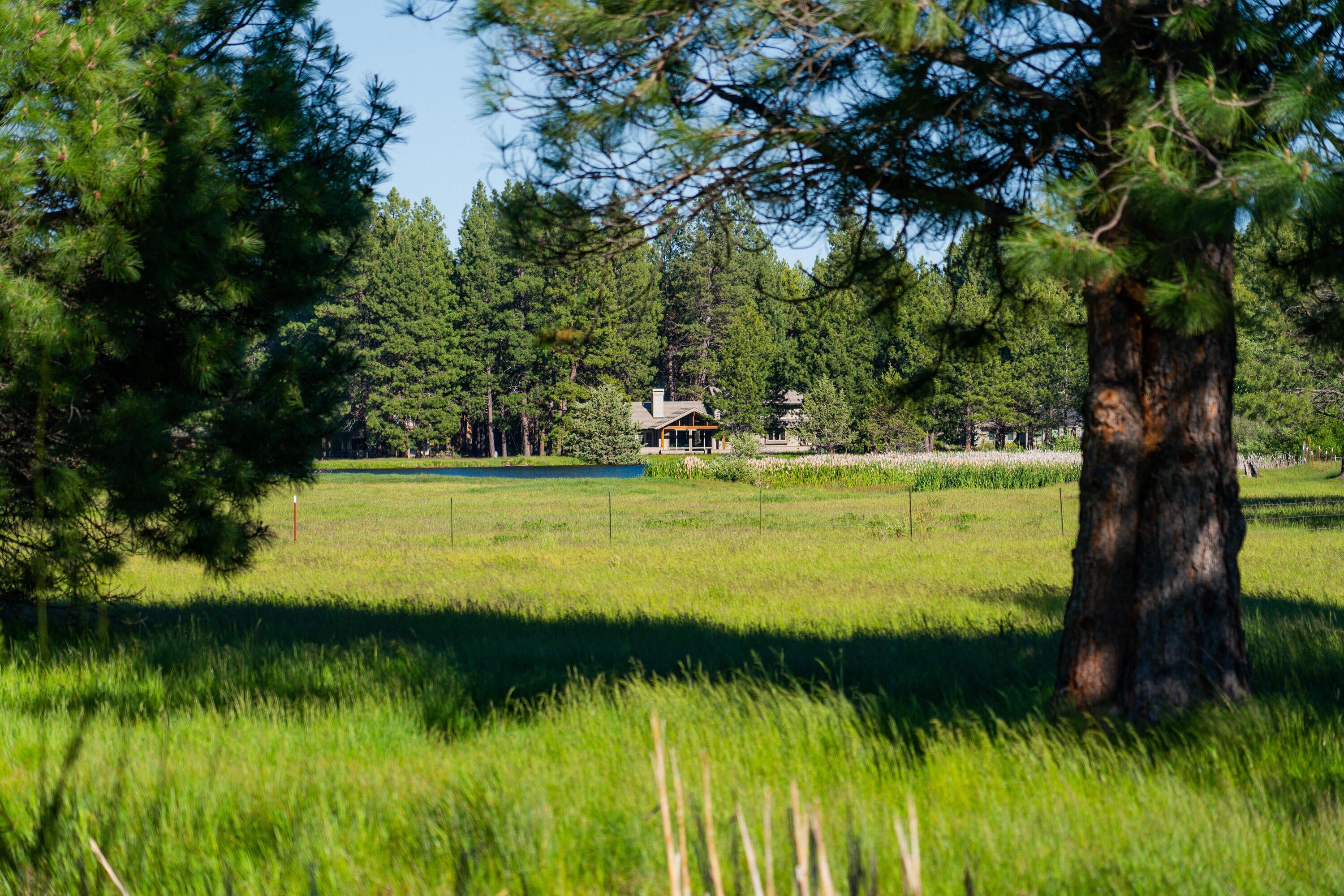 70331 Willow Herb, Unit GM205 Black Butte Ranch, OR 97759 - Photo 7 of 75 Looking across the meadow and lake back to the home