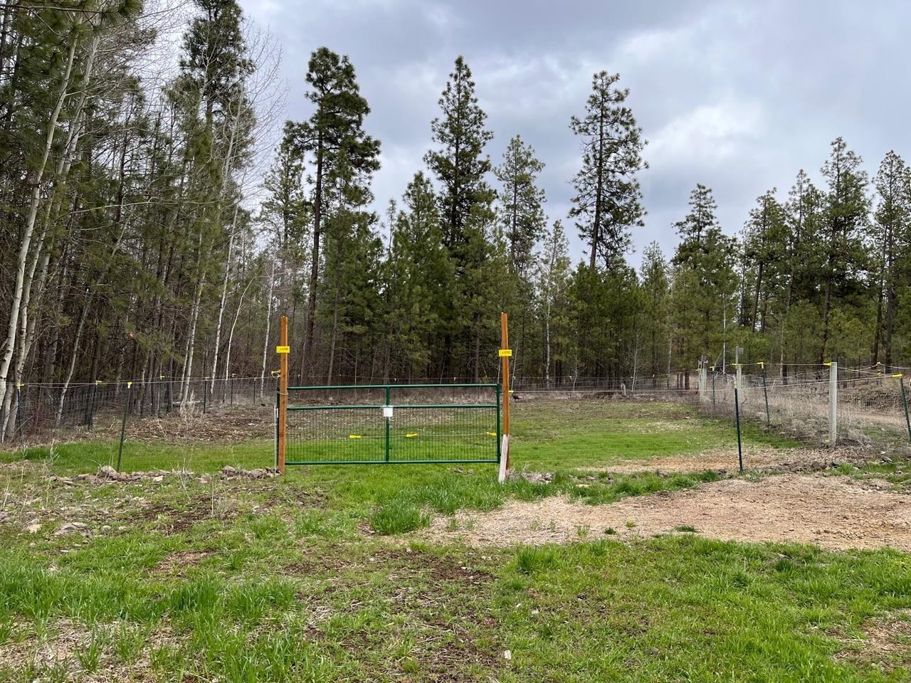 14904 South Goss Road Cheney, WA 99004 - Photo 5 of 43