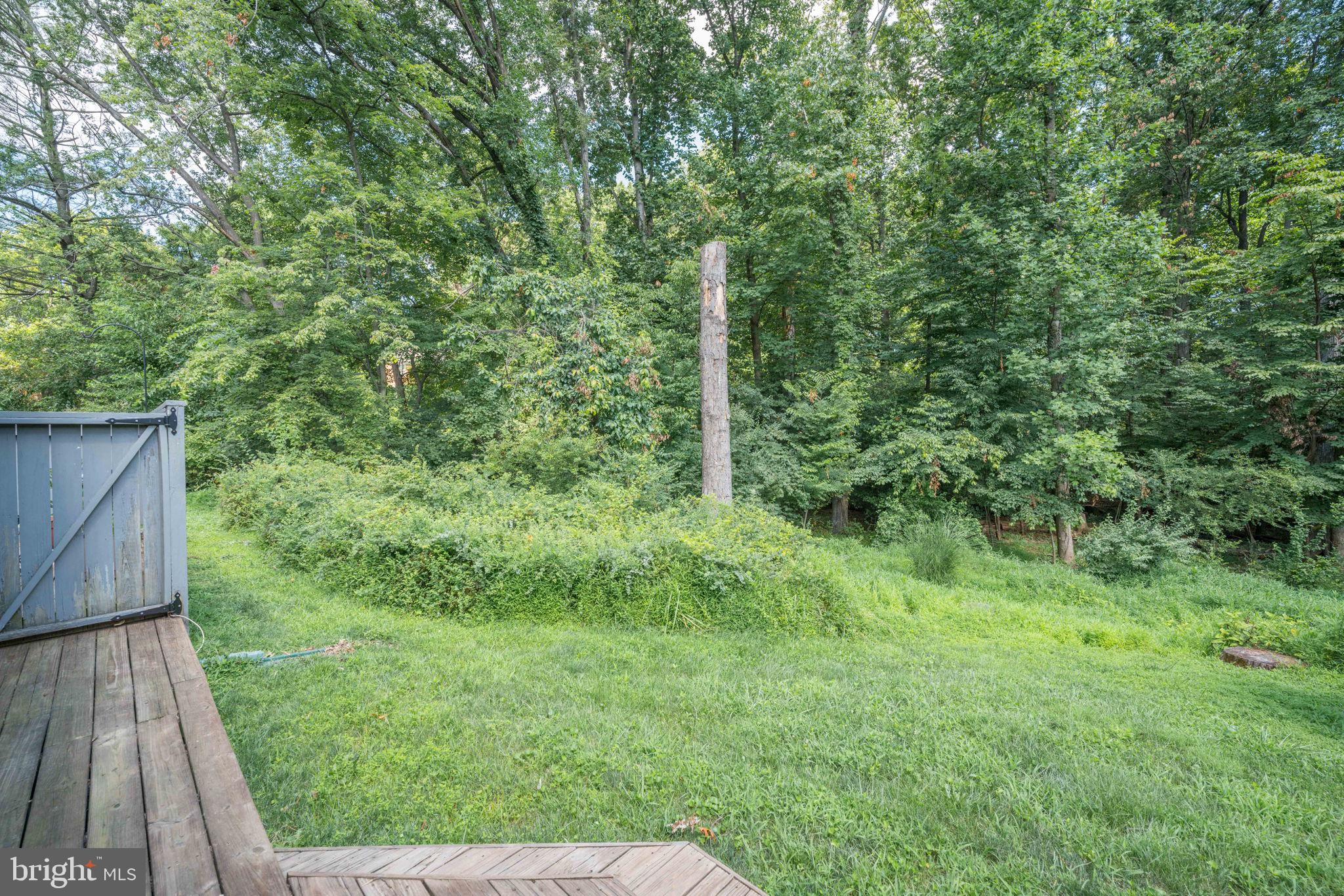 2329 Glade Bank Way Reston, VA 20191 - Photo 34 of 38