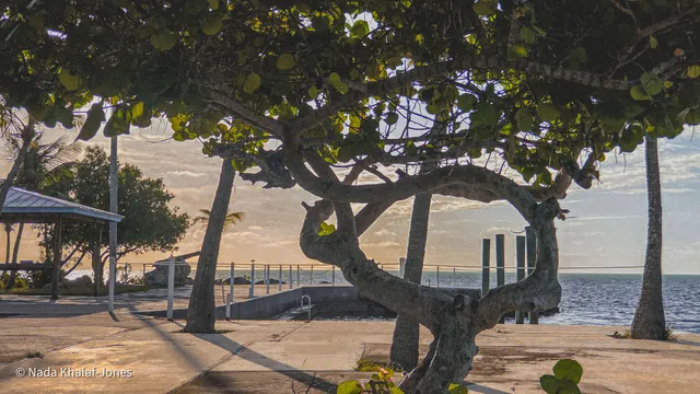 a view of a backyard of the house