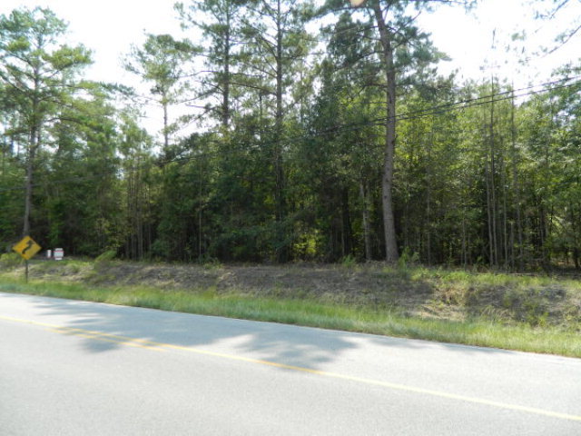 4211 Fulton Mill Road Macon, GA 31216 - Photo 1 of 1 a view of a yard