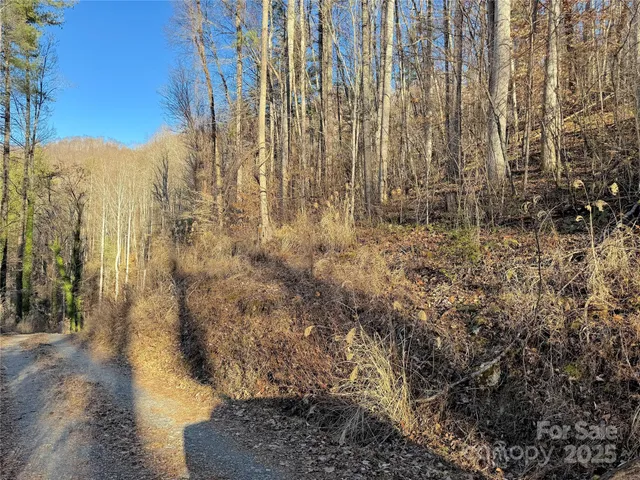 a view of a yard with plants and wooden fence