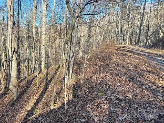 a view of outdoor space yard and mountain view in back