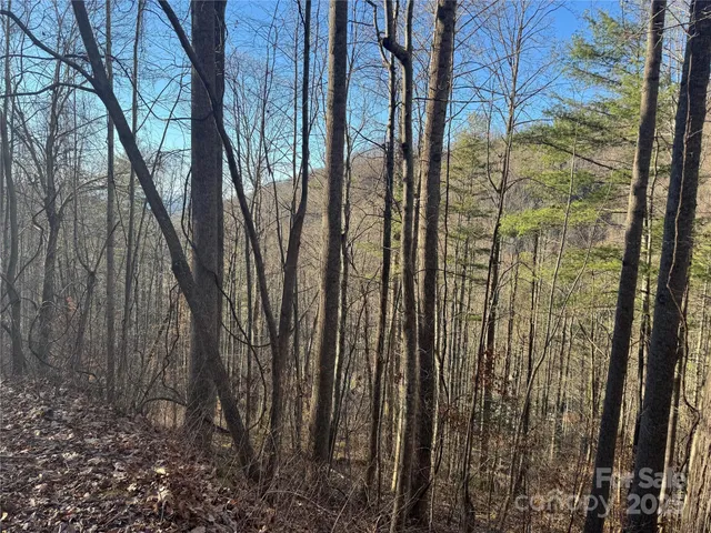 a view of outdoor space and garden