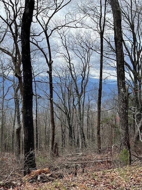 3 Tower Road Sevierville, TN 37862 - Photo 8 of 14