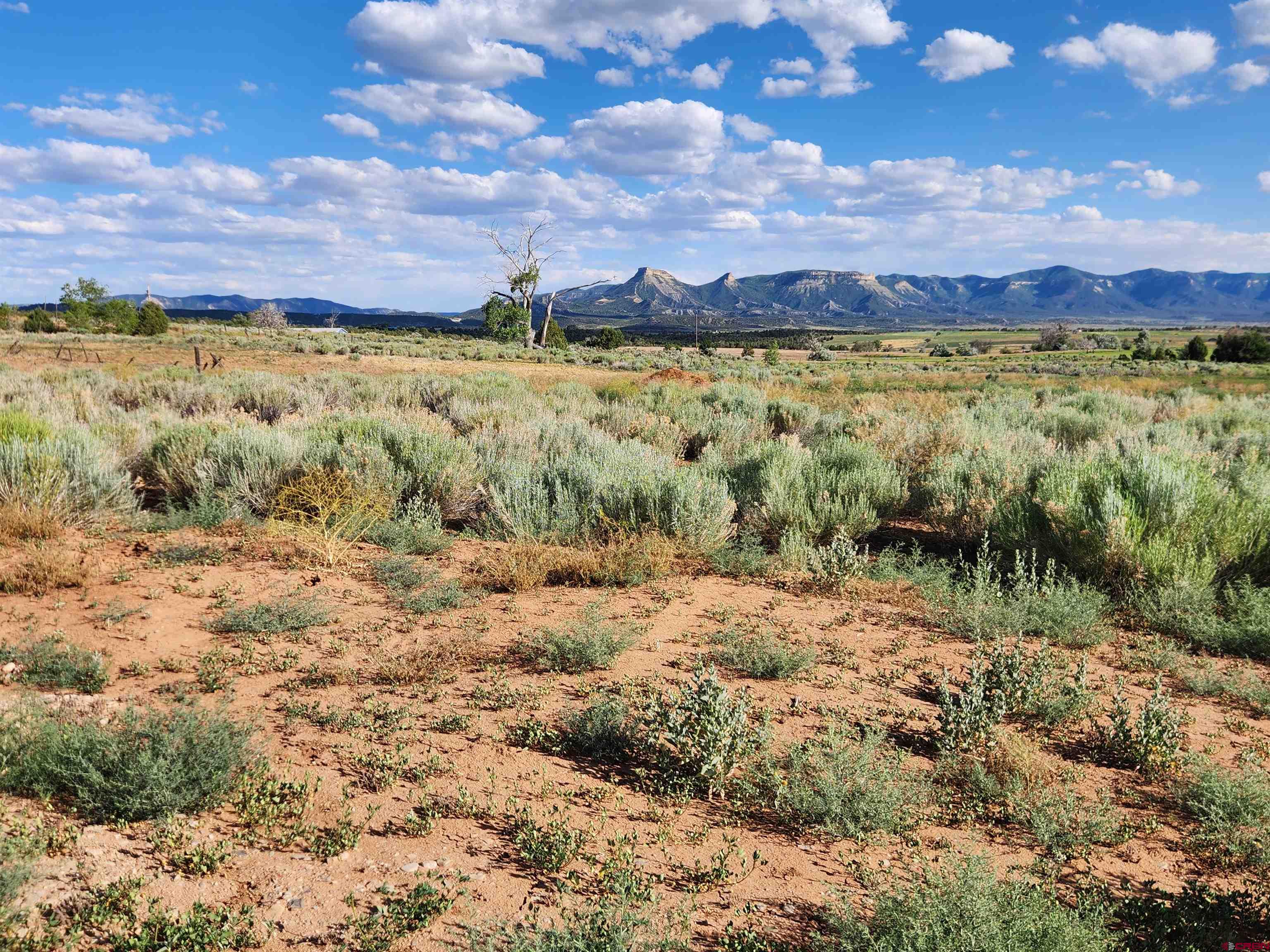 13780 32.4 Road Mancos, CO 81328 - Photo 12 of 17 a view of lake with mountain