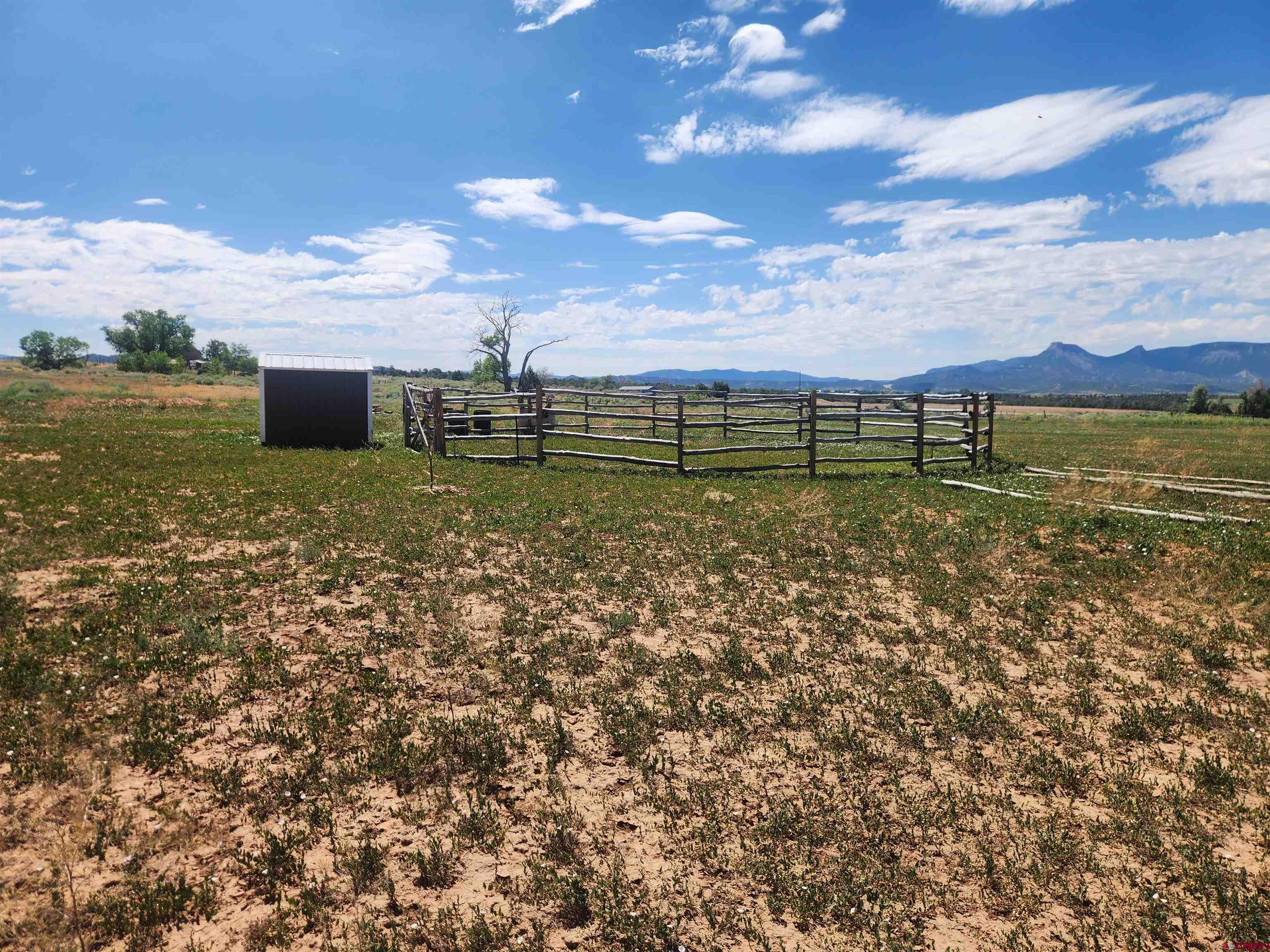13780 32.4 Road Mancos, CO 81328 - Photo 15 of 17 a view of a garden with an outdoor space