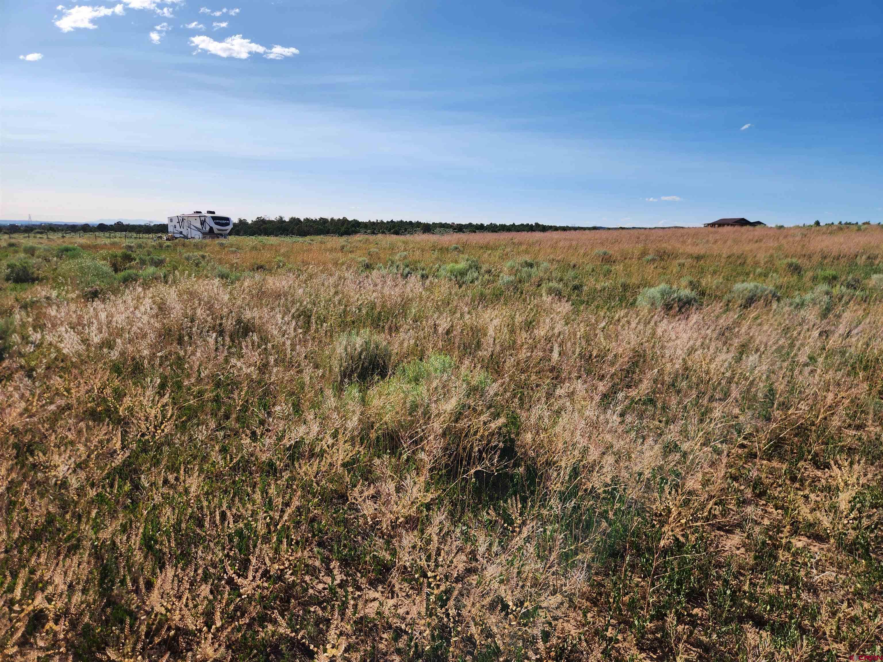 13780 32.4 Road Mancos, CO 81328 - Photo 7 of 17