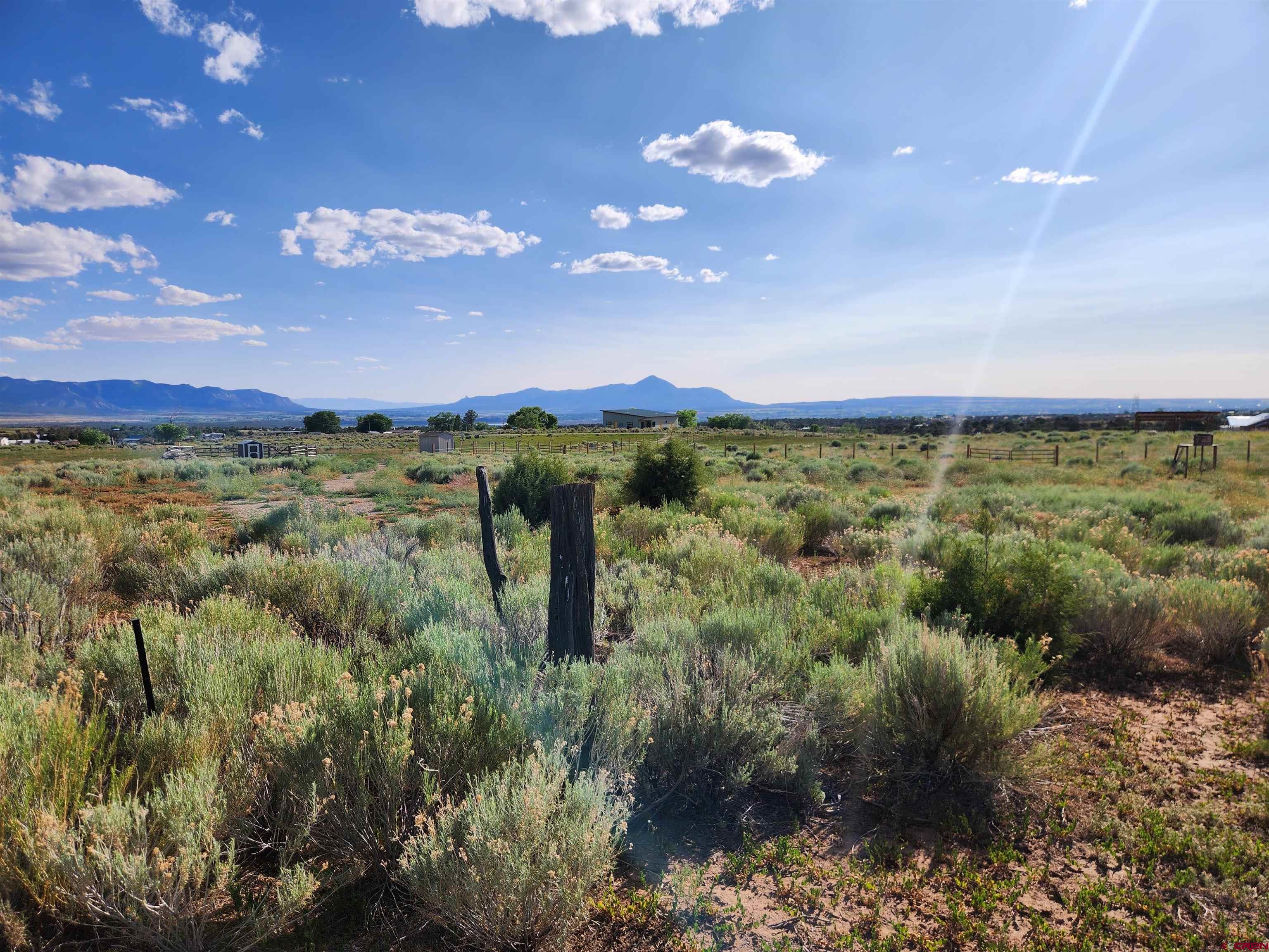 13780 32.4 Road Mancos, CO 81328 - Photo 9 of 17 a view of a yard with a lake view