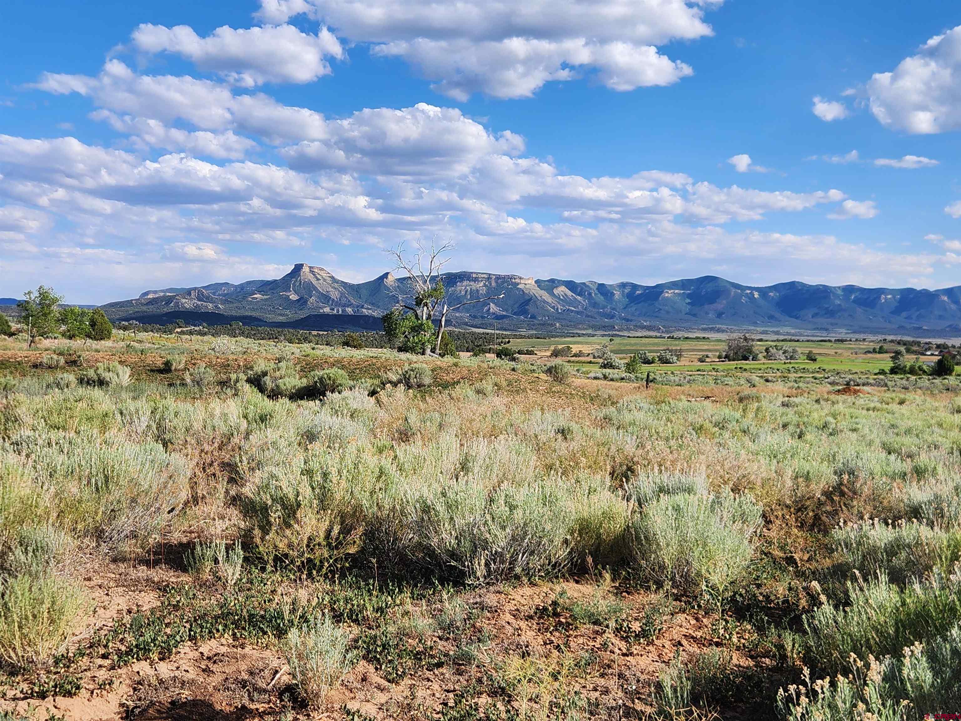 13780 32.4 Road Mancos, CO 81328 - Photo 10 of 17 a view of an outdoor space and mountain view