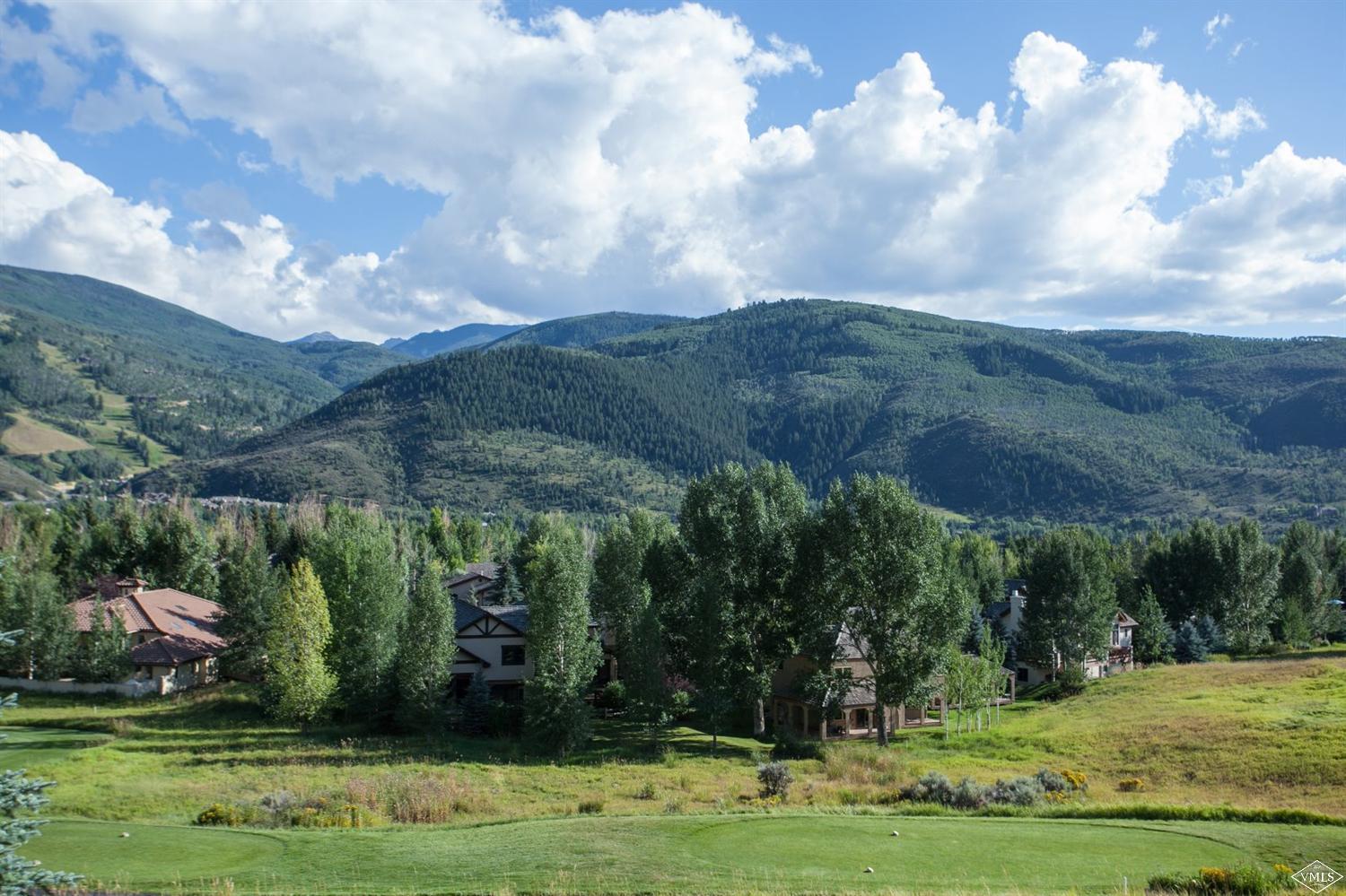 711 Singletree Road, Unit 33 Edwards, CO 81632 - Photo 8 of 18 Additional Photo