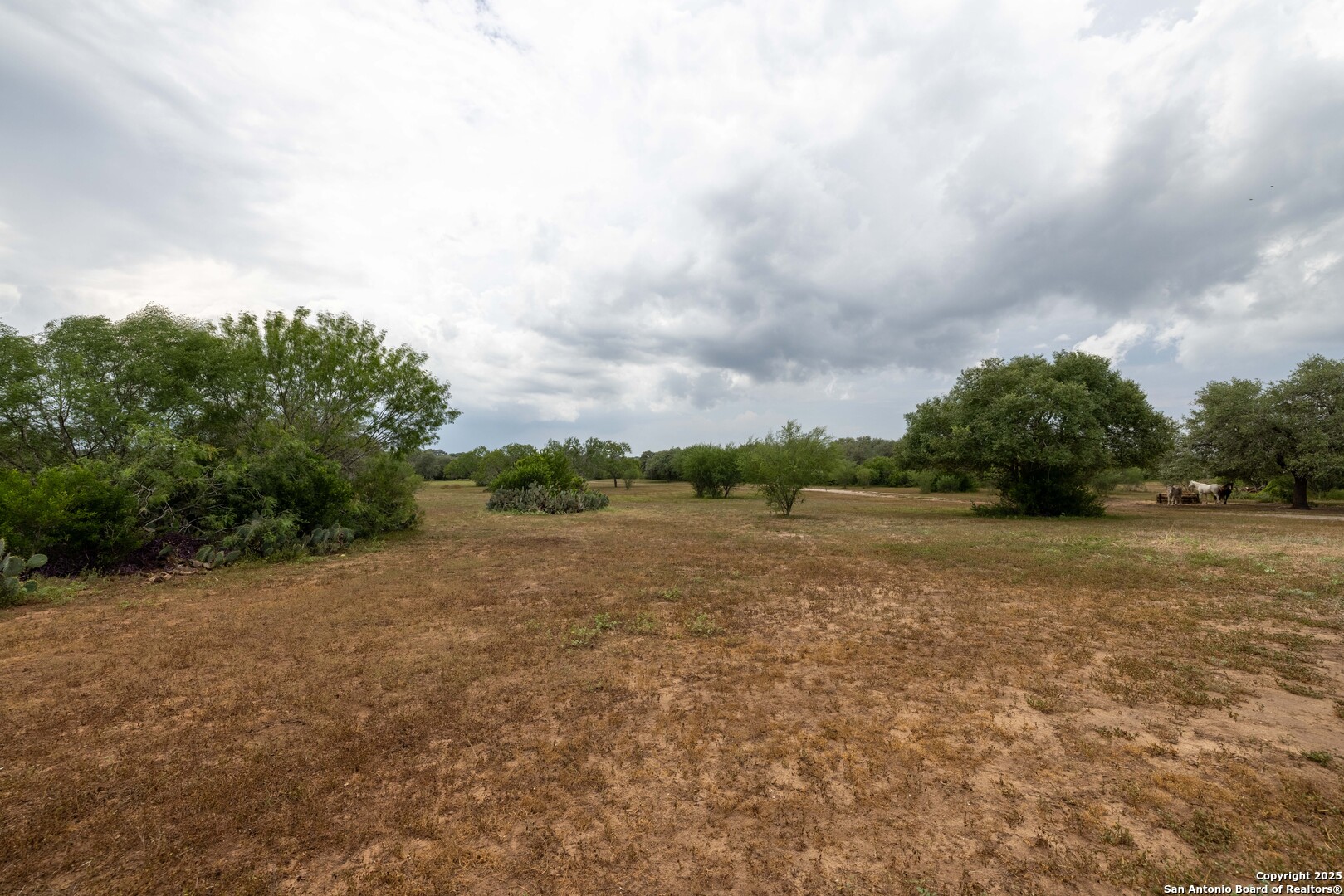 6242 Wildcat Drive Beeville, TX 78102 - Photo 12 of 15 a view of a lake view