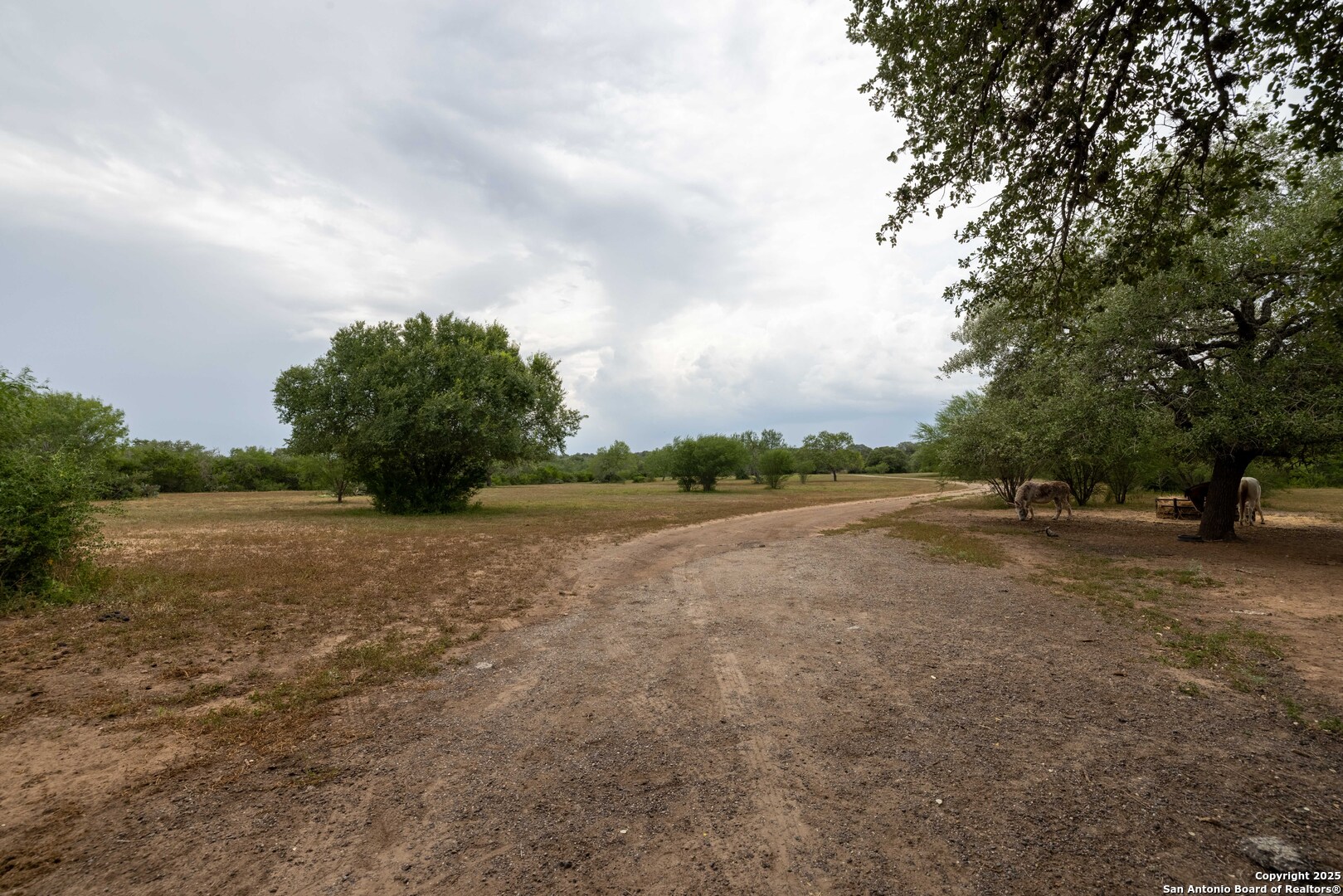 6242 Wildcat Drive Beeville, TX 78102 - Photo 3 of 15 a view of a street
