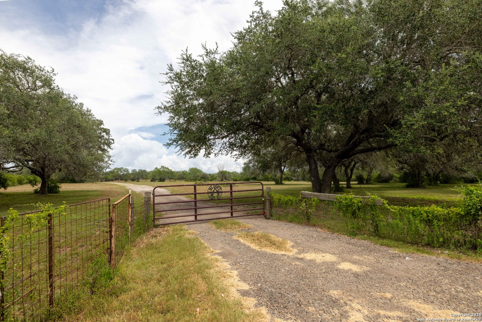6242 Wildcat Drive Beeville, TX 78102 - Photo 4 of 15 a view of a park with large trees