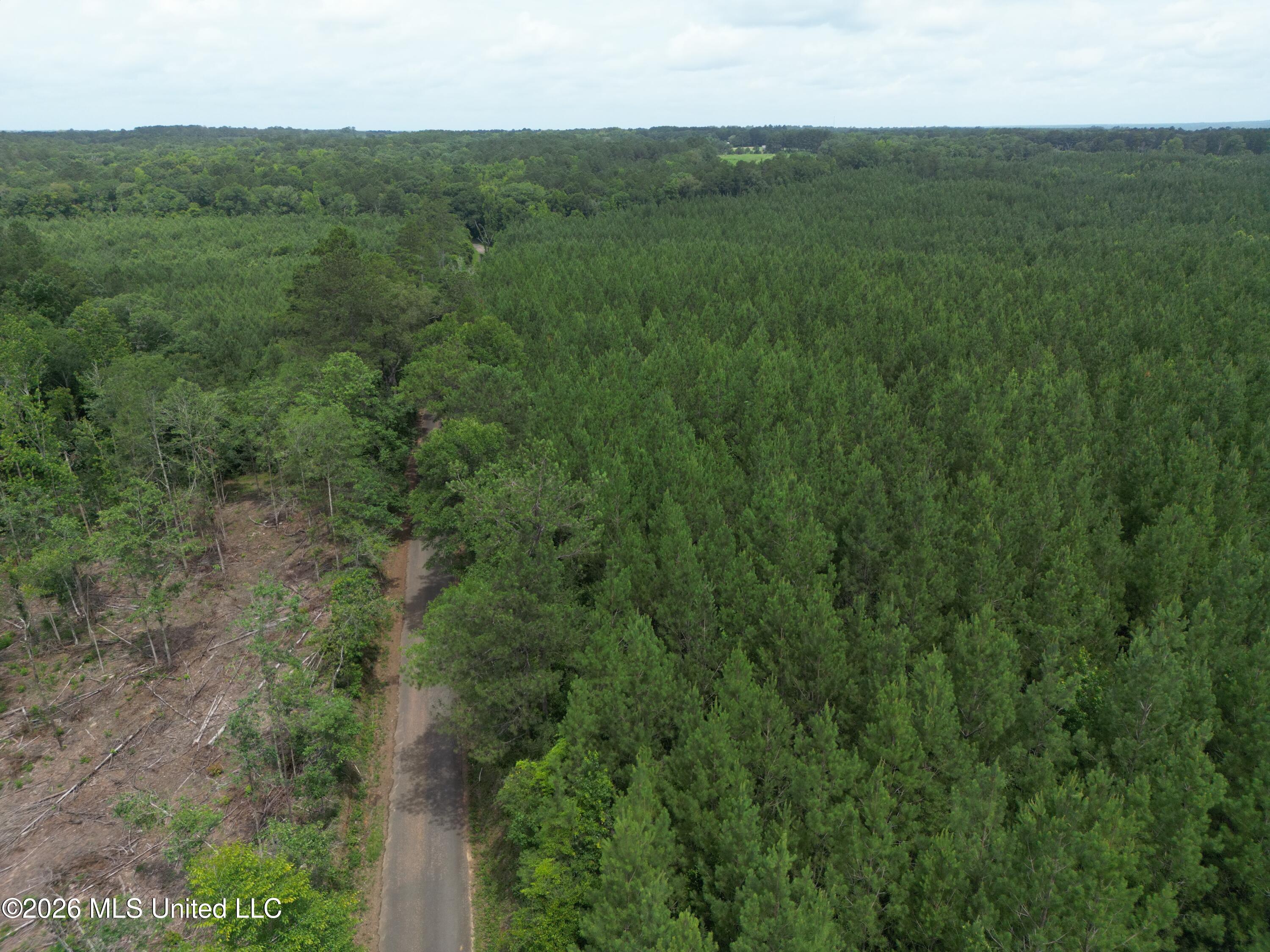 Summit Holmesville Road McComb, MS 39648 - Photo 3 of 29 DJI_0611