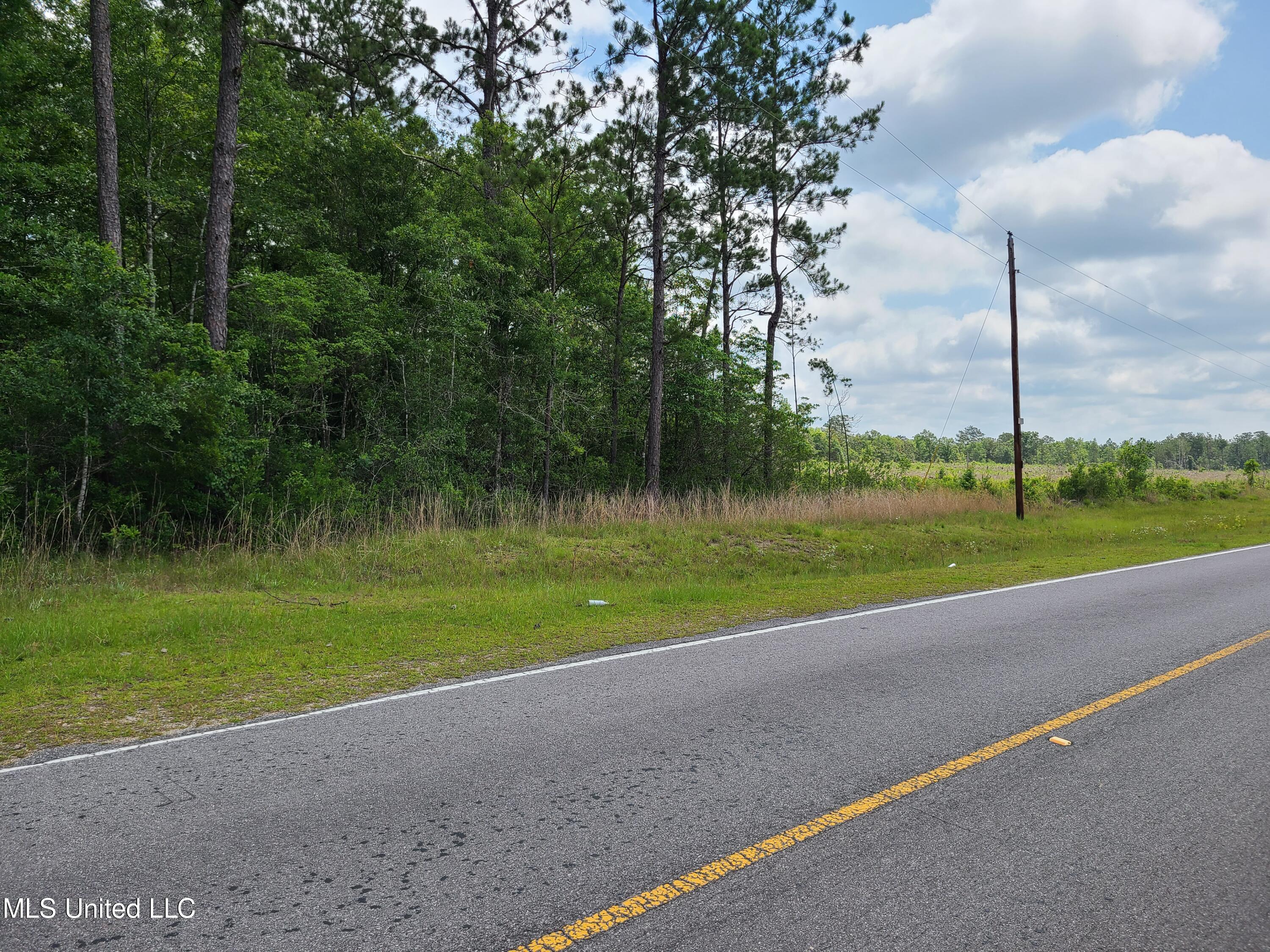 Nhn Broome School Road Perkinston, MS 39573 - Photo 2 of 5 9 acres II