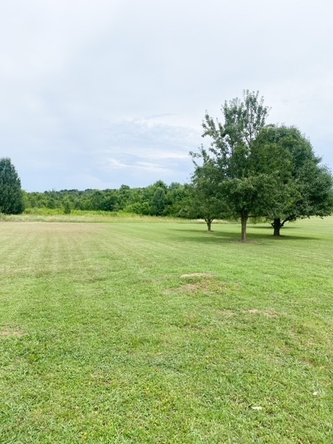 265 Whitaker Road Shelbyville, TN 37160 - Photo 28 of 33 Gallery Image 28