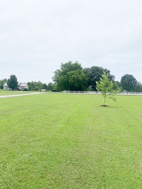 265 Whitaker Road Shelbyville, TN 37160 - Photo 31 of 33 Gallery Image 31