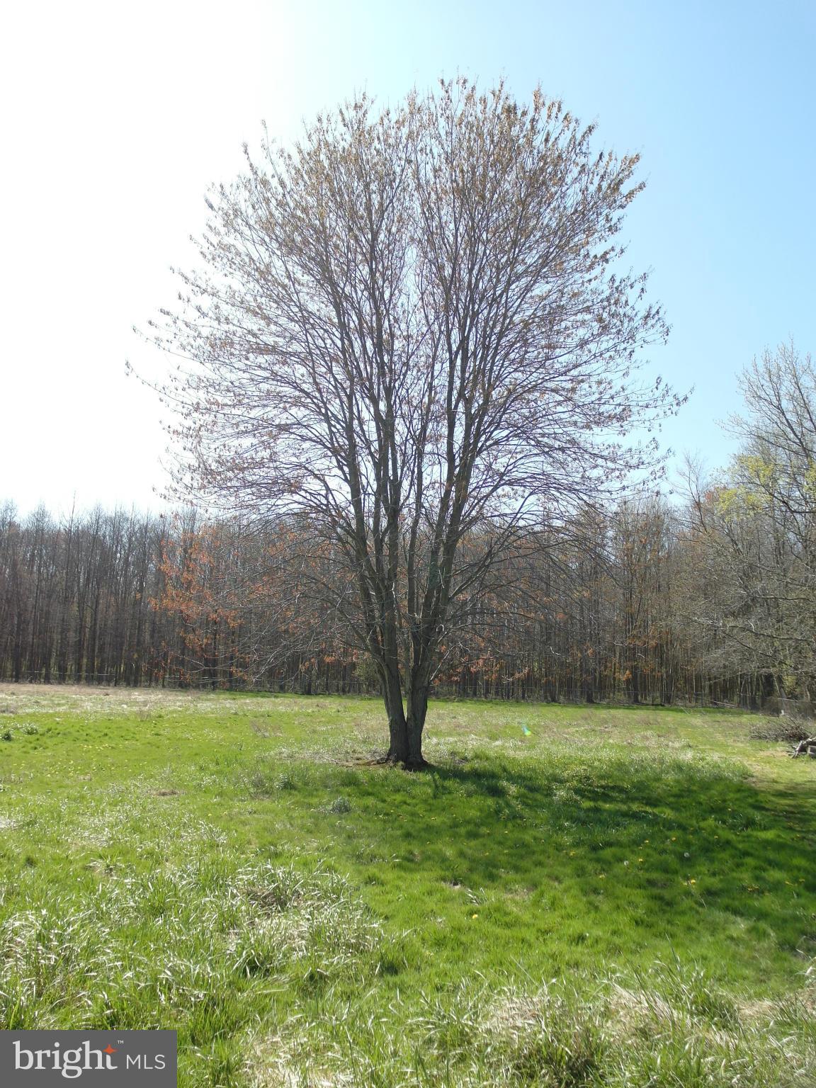 520 Frenchtown Road Elkton, MD 21921 - Photo 4 of 25 View