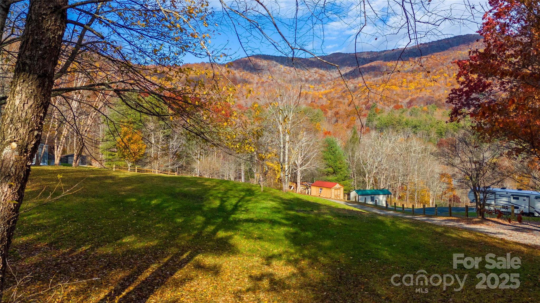 1960 Hanging Rock Road Spruce Pine, NC 28777 - Photo 15 of 47 a view of yard with tree