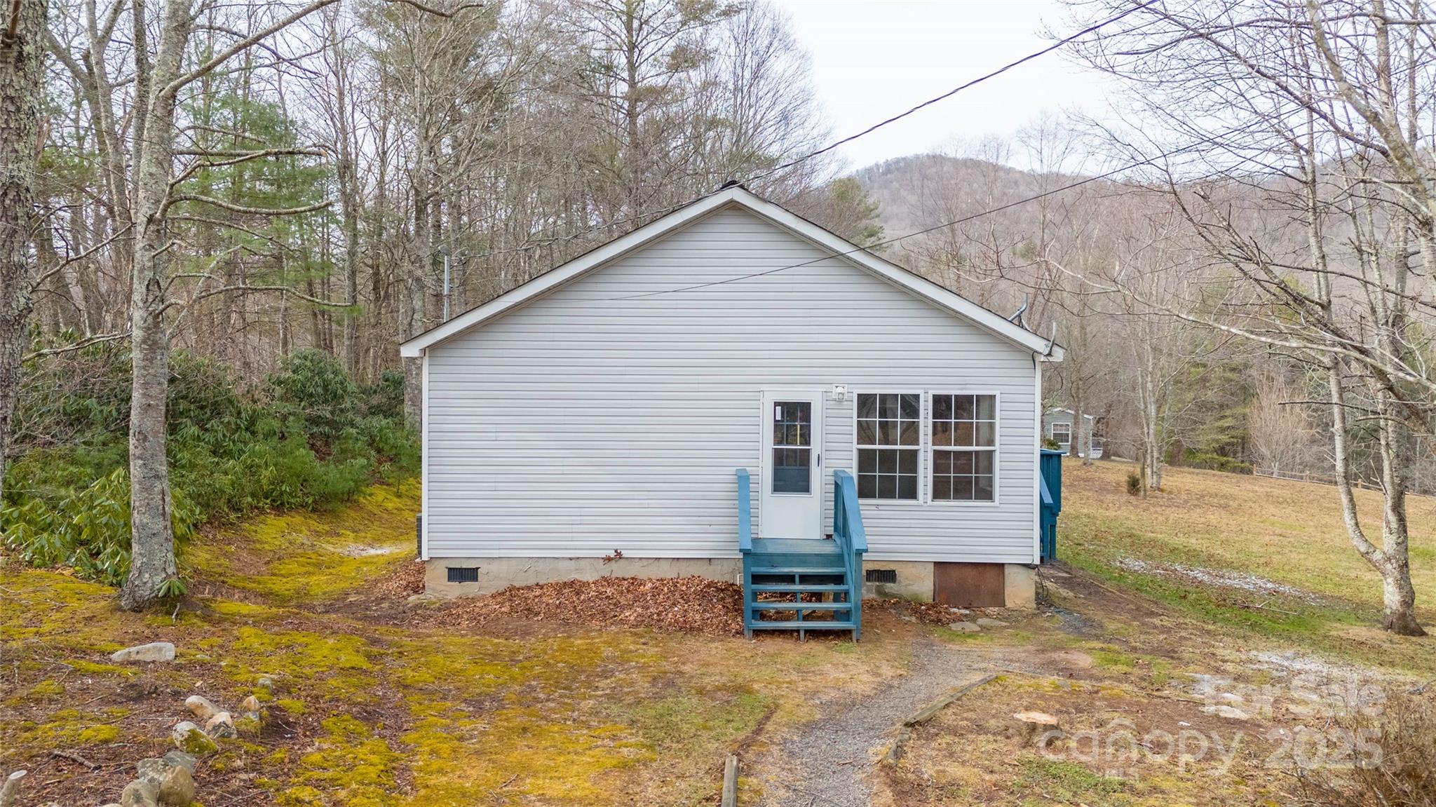 1960 Hanging Rock Road Spruce Pine, NC 28777 - Photo 23 of 47 a view of a house with a yard and covered with snow