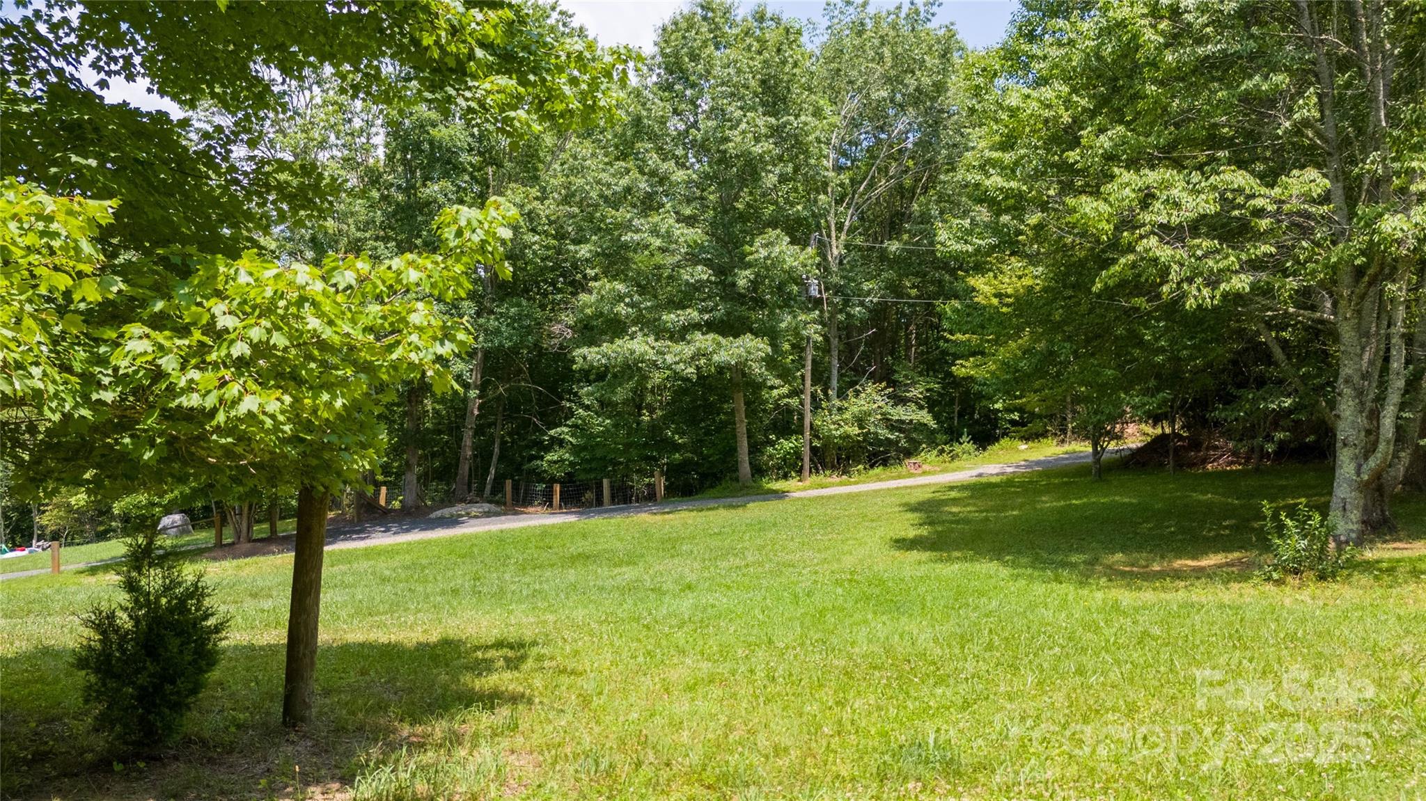 1960 Hanging Rock Road Spruce Pine, NC 28777 - Photo 10 of 47 a view of field with trees in the background