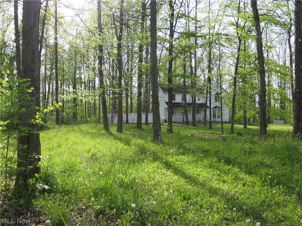 40500 Webster Road Lagrange, OH 44050 - Photo 1 of 10 Gallery Image 1