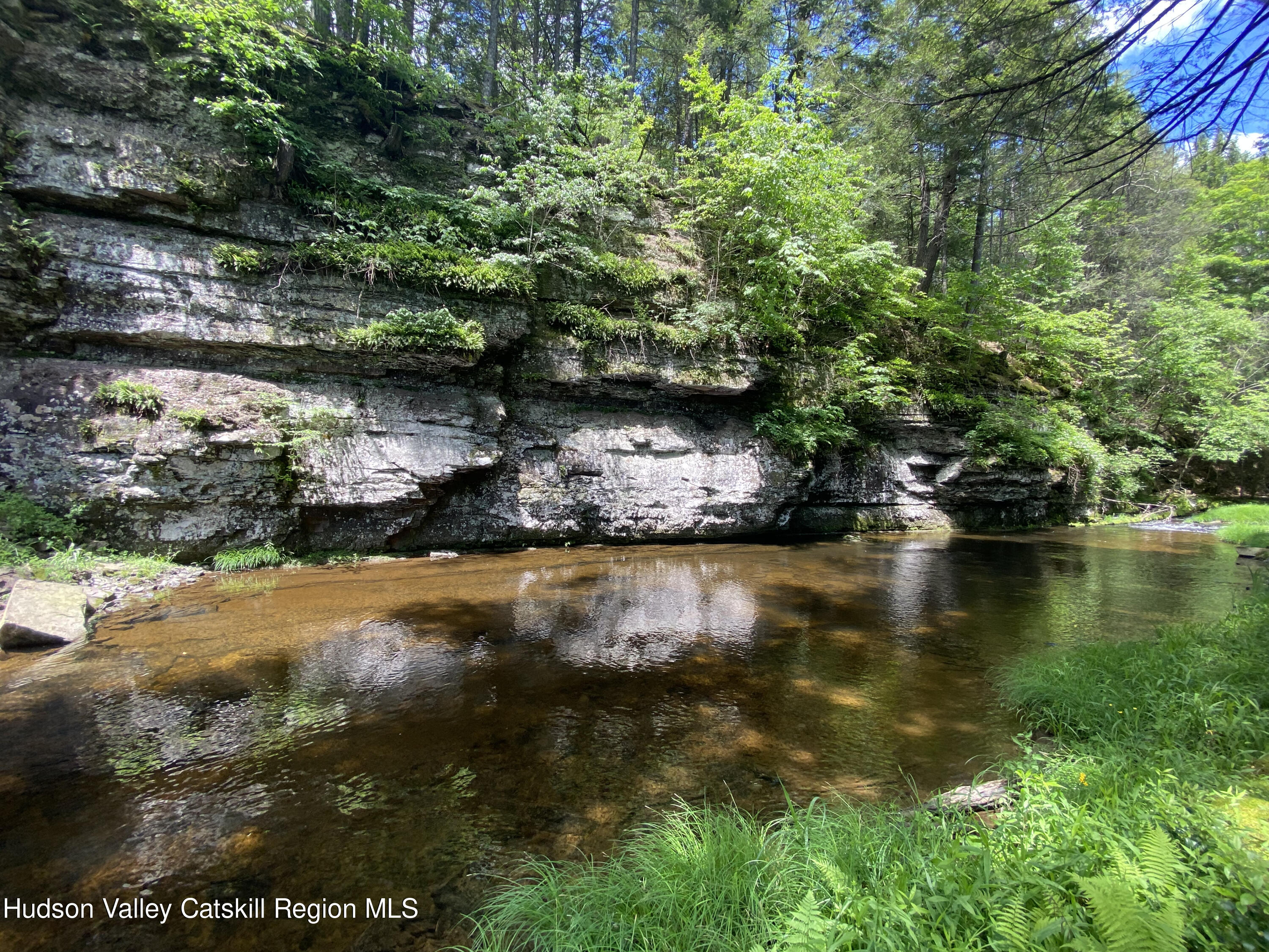 281 Dewitt Road Olivebridge, NY 12461 - Photo 2 of 33 IMG_1592