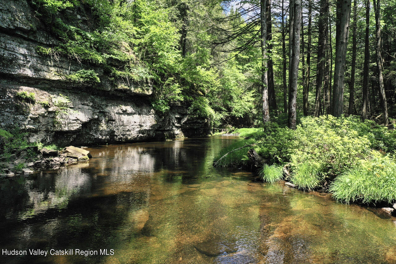 281 Dewitt Road Olivebridge, NY 12461 - Photo 23 of 33 Olivebridge-8 2