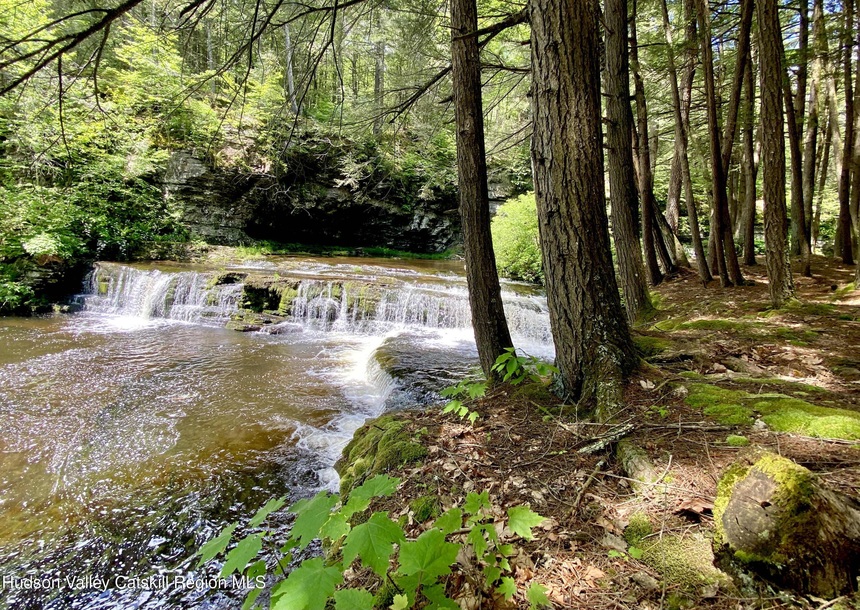 281 Dewitt Road Olivebridge, NY 12461 - Photo 31 of 33 IMG_1586