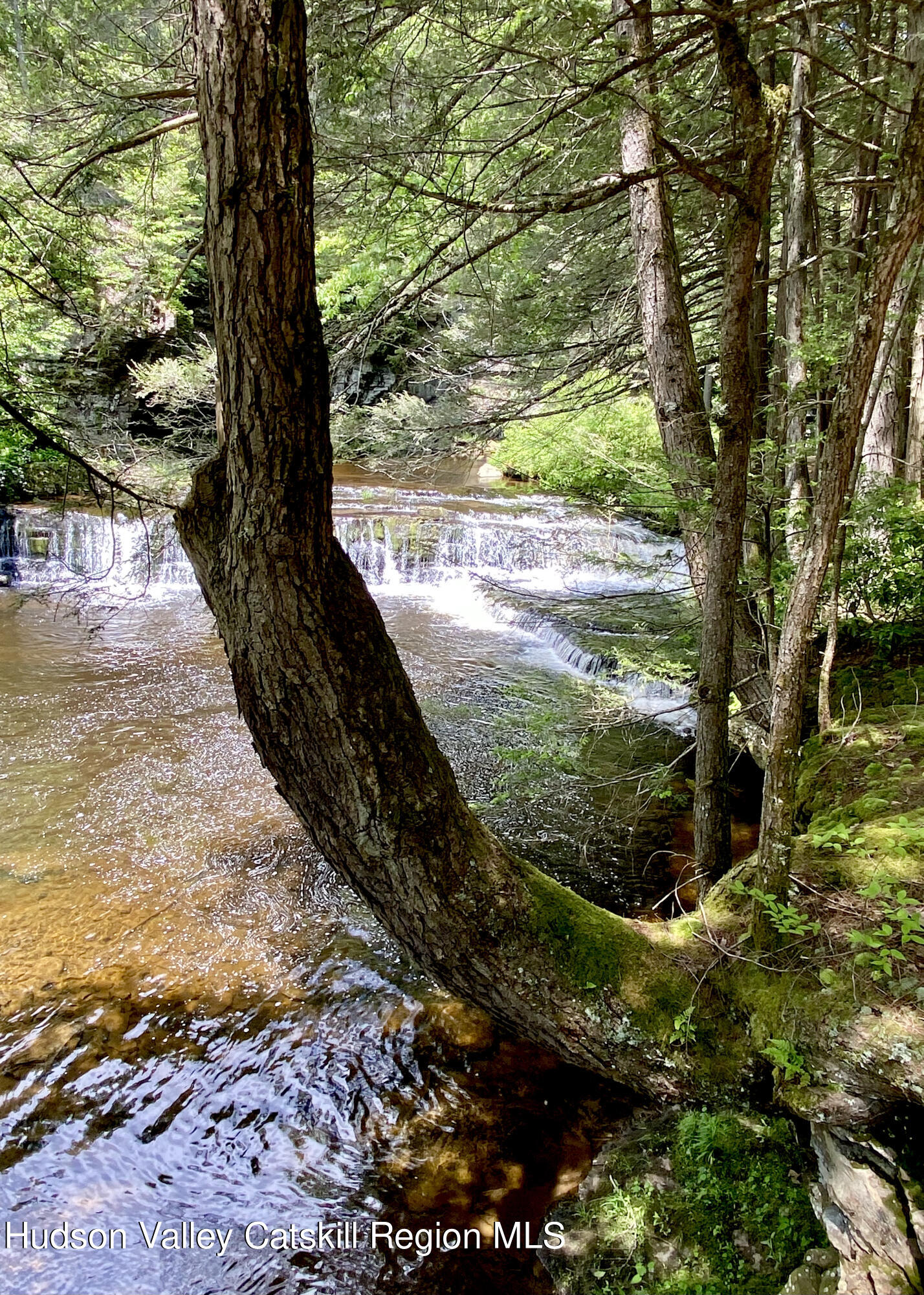 281 Dewitt Road Olivebridge, NY 12461 - Photo 5 of 33 IMG_1585