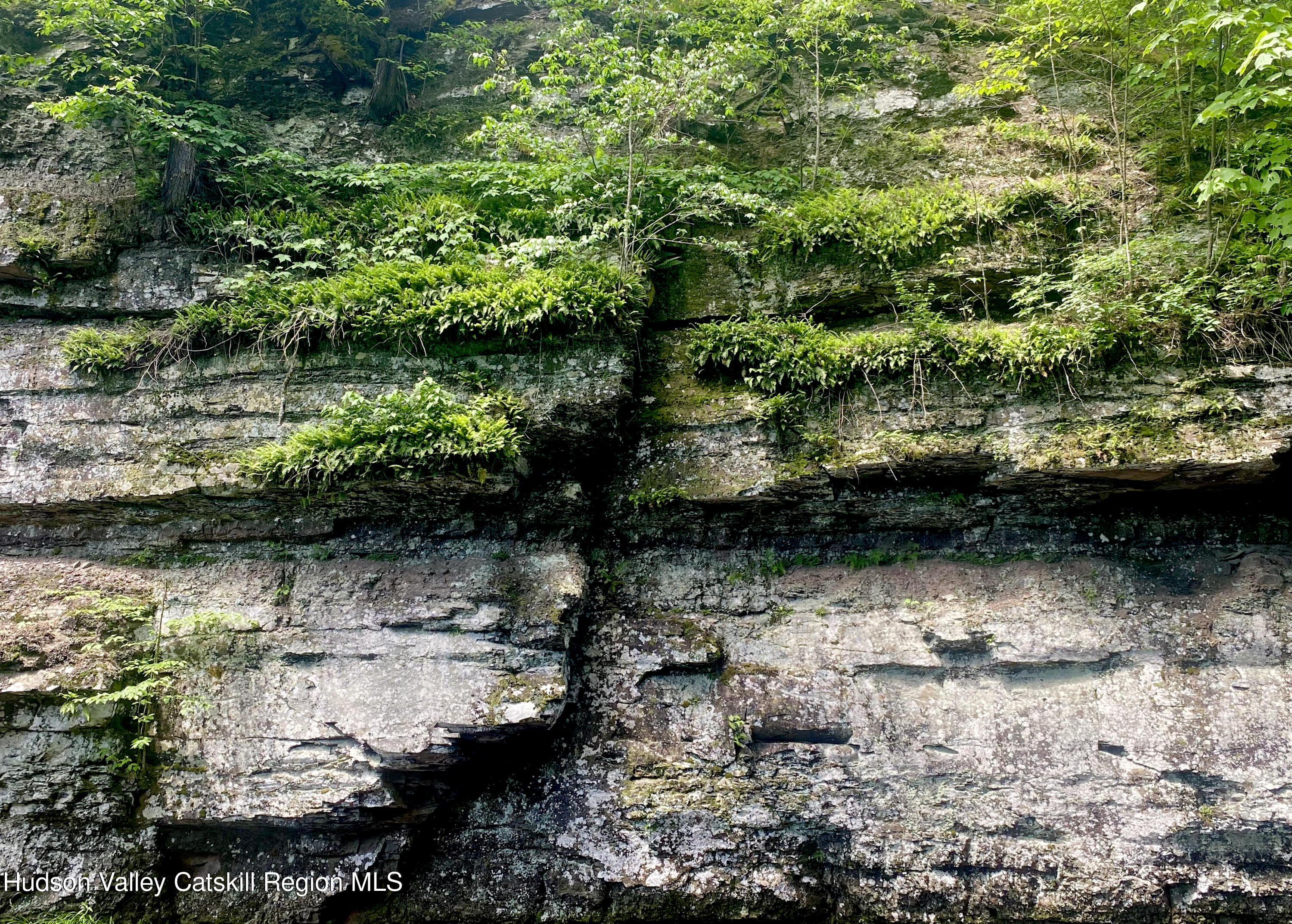 281 Dewitt Road Olivebridge, NY 12461 - Photo 6 of 33 IMG_1595