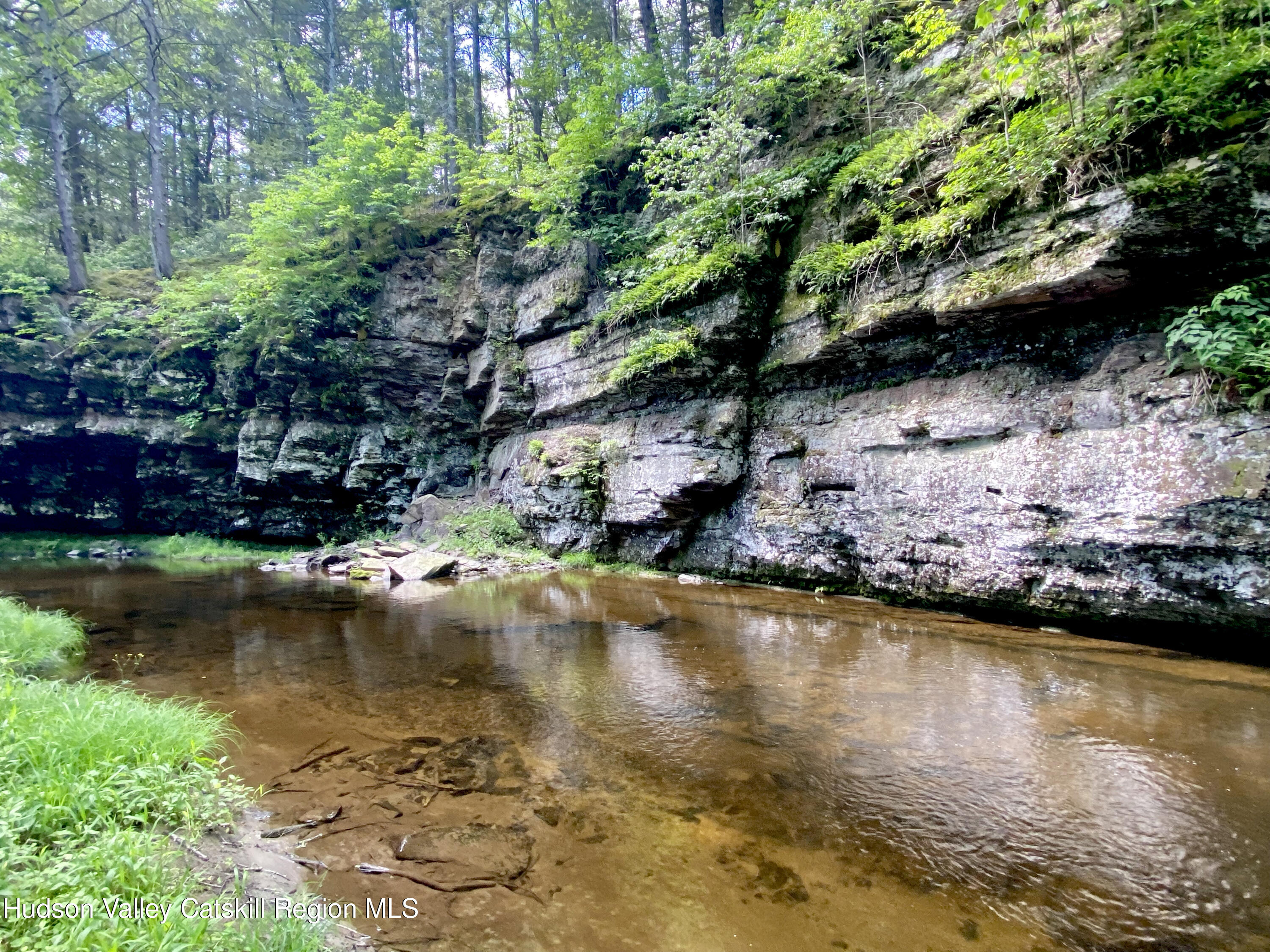 281 Dewitt Road Olivebridge, NY 12461 - Photo 7 of 33 IMG_1597