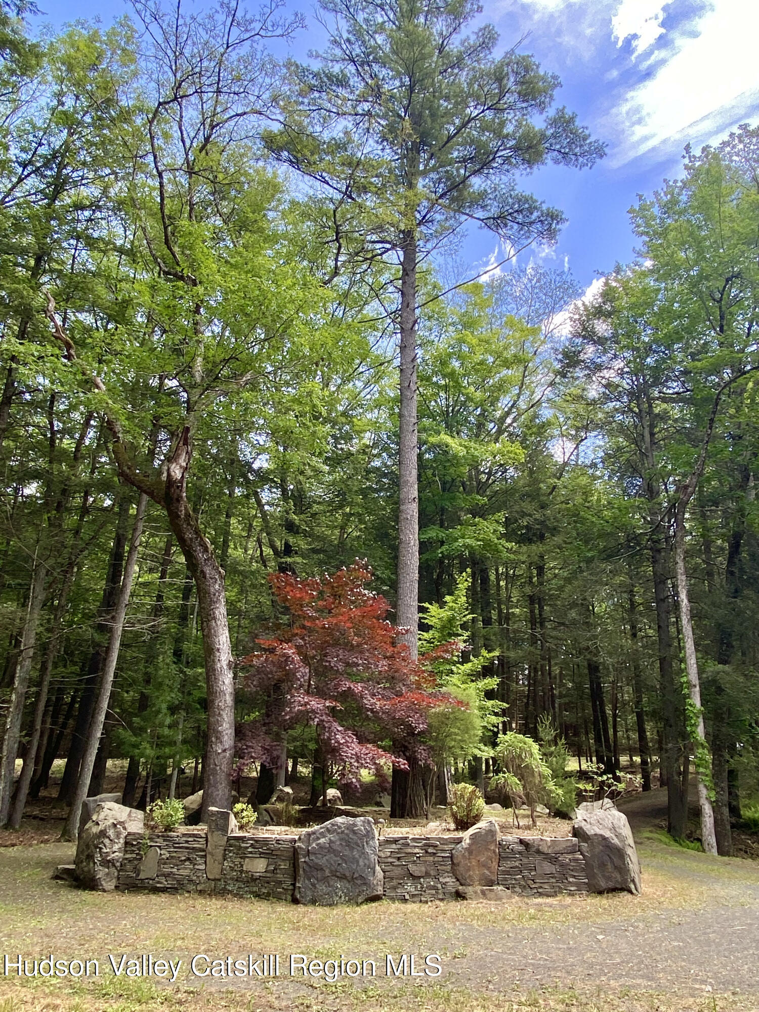 281 Dewitt Road Olivebridge, NY 12461 - Photo 10 of 33 IMG_1605