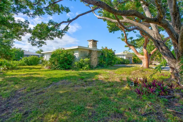 a view of a garden with plants and large trees