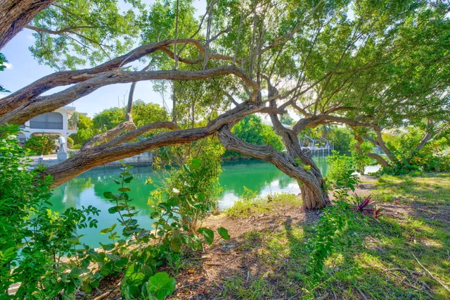 a backyard of a house with lots of green space and a fountain