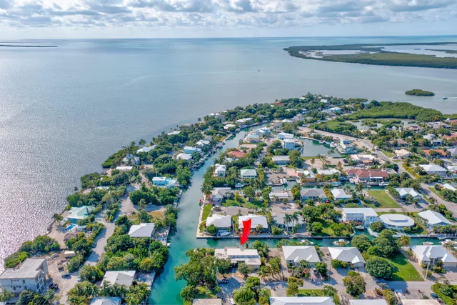 a close up of a flower in a garden