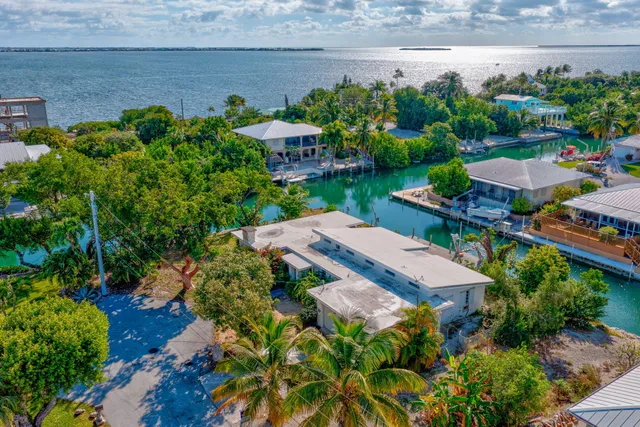 a view of a garden with plants and a bench