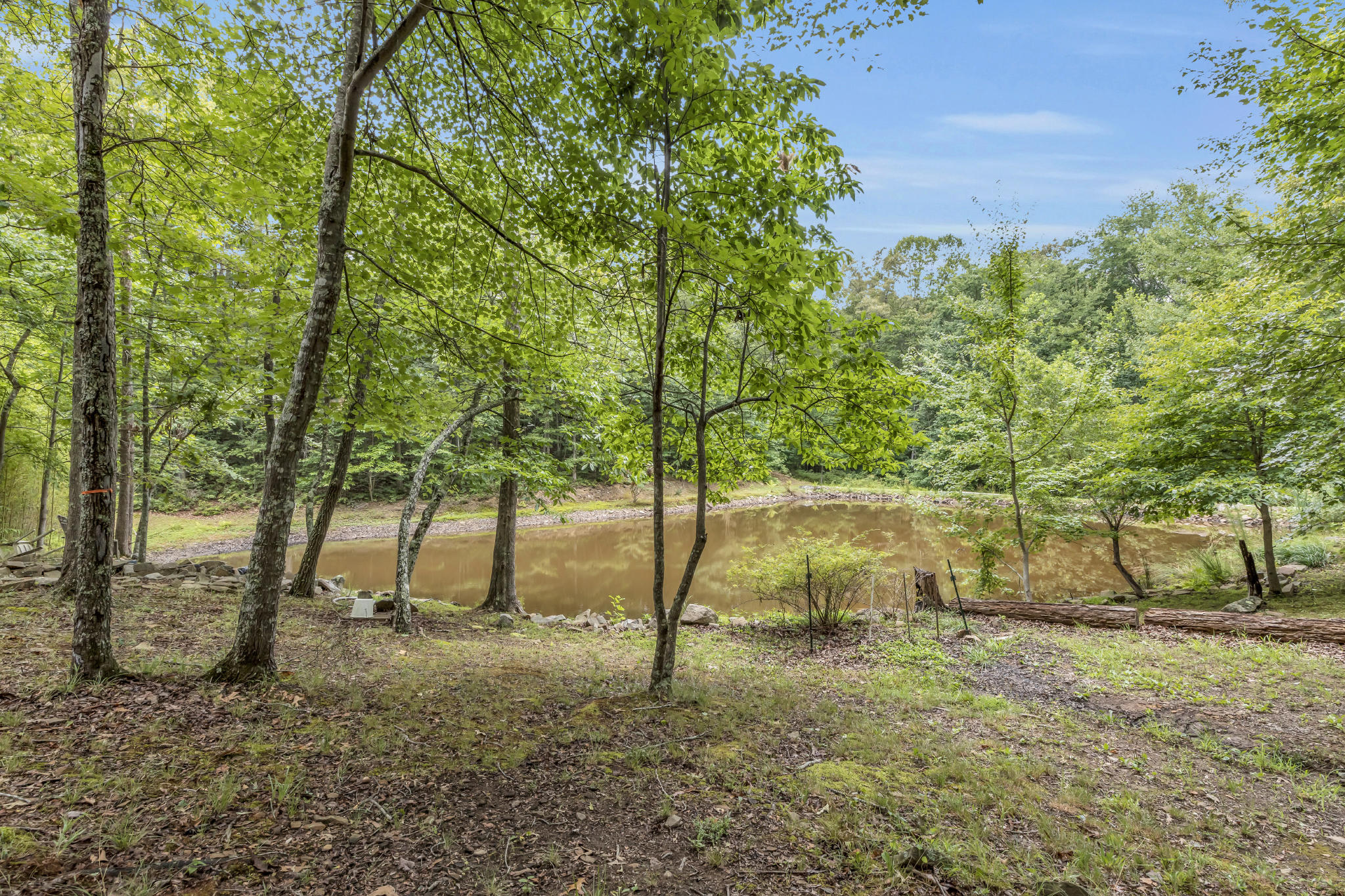 599 Woodland Ridge Road Dunlap, TN 37327 - Photo 26 of 37 4T1A9450