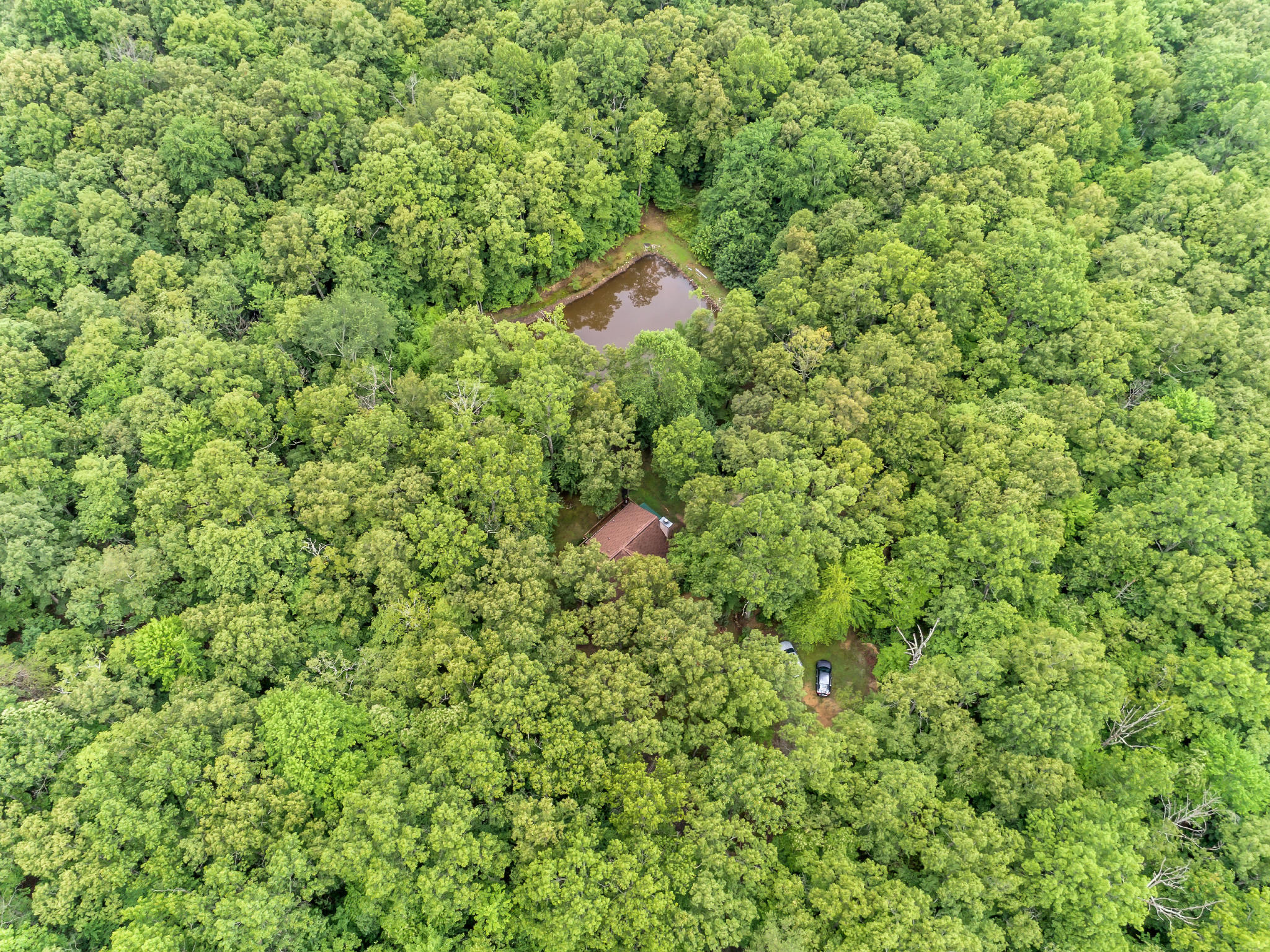 599 Woodland Ridge Road Dunlap, TN 37327 - Photo 27 of 37 DJI_0887
