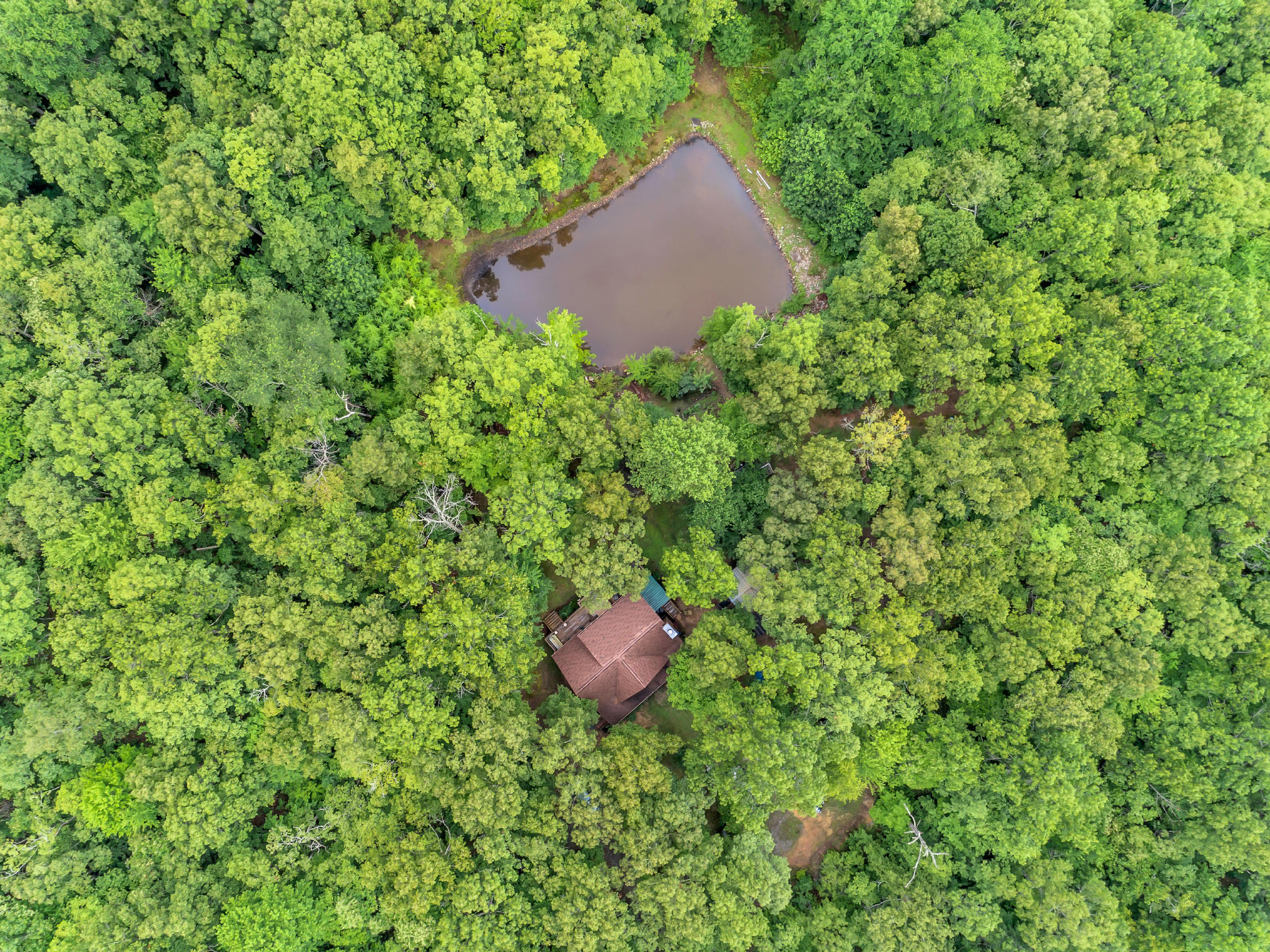 599 Woodland Ridge Road Dunlap, TN 37327 - Photo 28 of 37 DJI_0888