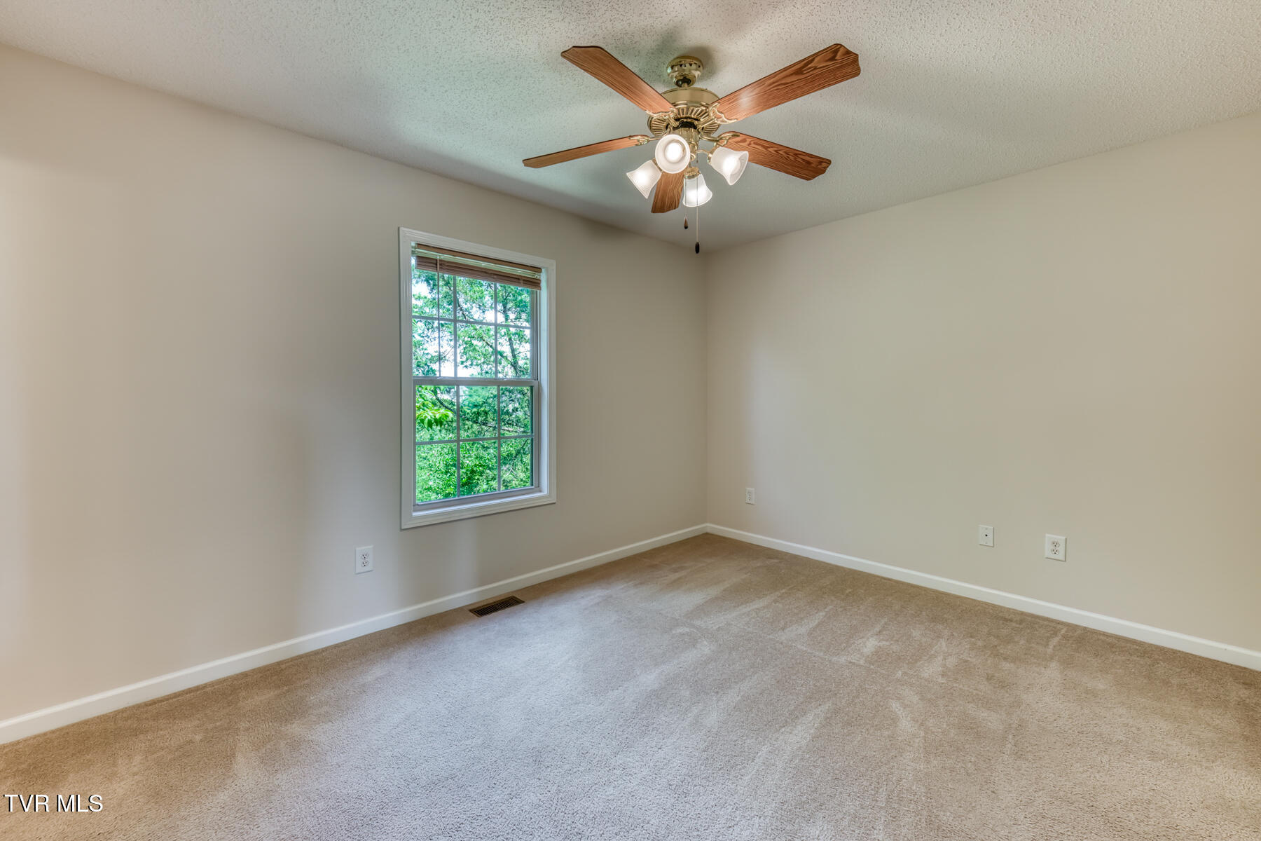 186 New Hope Road Jonesborough, TN 37659 - Photo 15 of 44 186 New Hope Rd-15