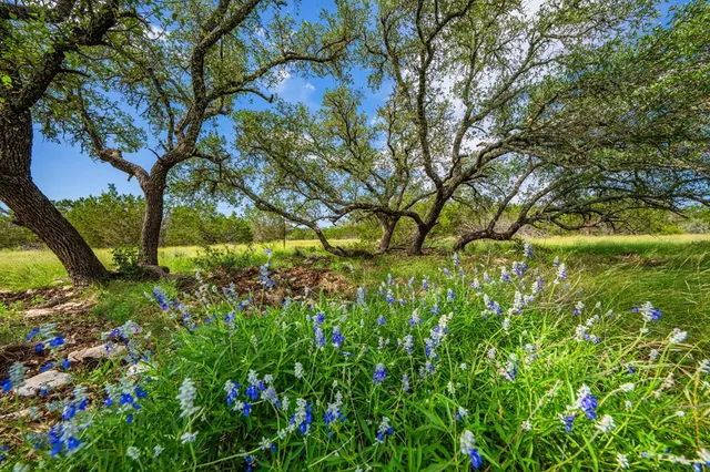 a view of yard with swimming pool and green space