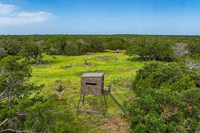 a view of a garden with a building