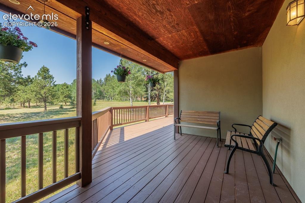 392 Aspen Village Road Divide, CO 80814 - Photo 20 of 43