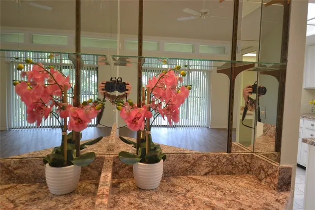 a dining room with furniture and a potted plant