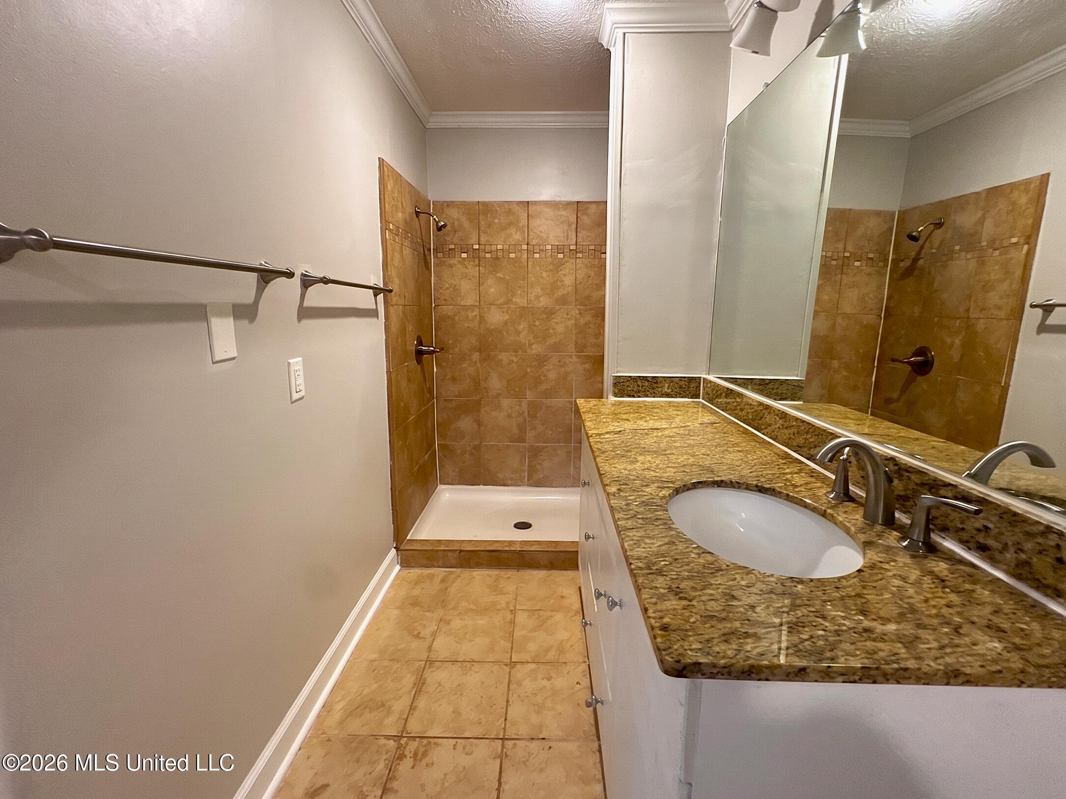 455 South Wheatley Street Ridgeland, MS 39157 - Photo 11 of 15 (Bathroom )